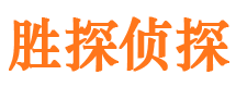 盐津侦探公司